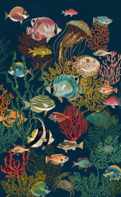 coral reef deep silence dark teal