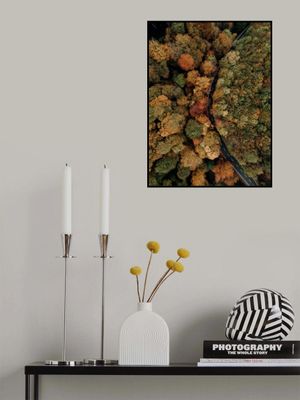 Autumn's Winding Path