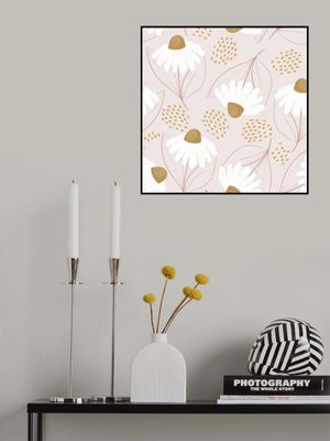 White Daisies Blossoms