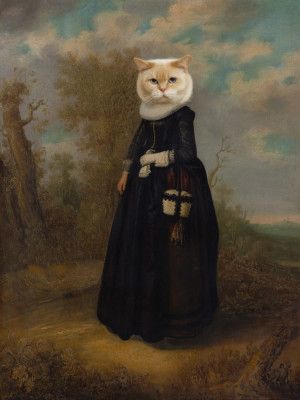 About Catwalks In Woods