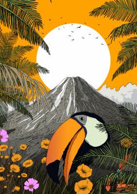 Toucan Volcano