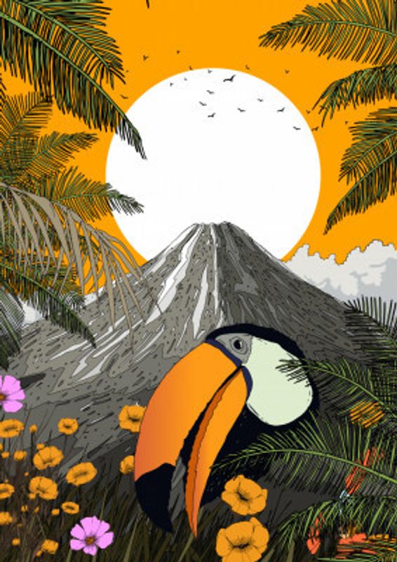 Toucan Volcano