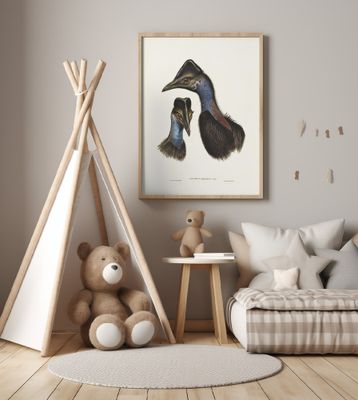 Bennett's Cassowary Blue