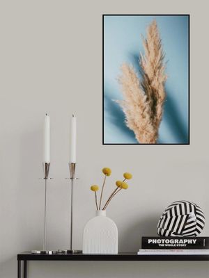Pampas Grass Blue