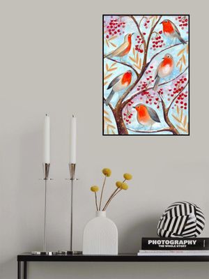 Winter birds robins Christmas snow