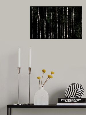 Somewhere In Sweden 4