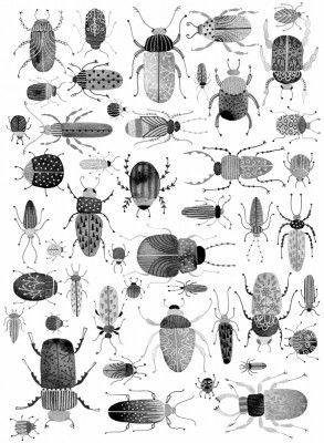 Intricately Patterned Bugs