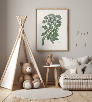 Angel Changelica Medical Botany