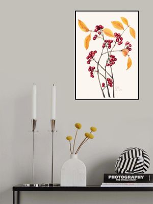 Red Chokeberry (1920)