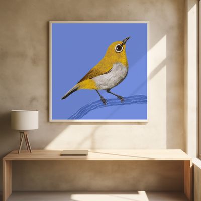 Bird Series   White Eye