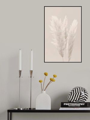 Pampas Grass_002