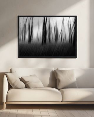 Dancing trees in the fog