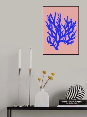Coral Silhouette