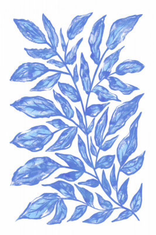 Botanical Illustration Of Blue Leaves