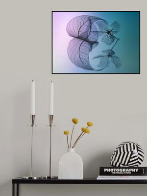 Story of leaf and flower