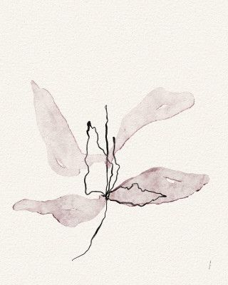 Delicate Petal Dance