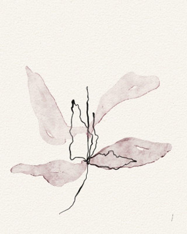 Delicate Petal Dance