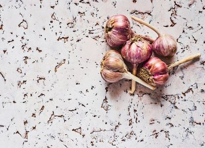 Rustic Garlic Spread