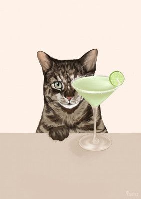 Tabby Cat with Margarita Cocktail