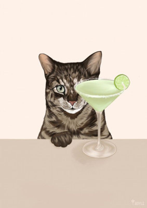 Tabby Cat with Margarita Cocktail