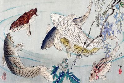 Six Carp Swimming Beneath Wisteria (1889)