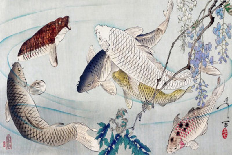 Six Carp Swimming Beneath Wisteria (1889)