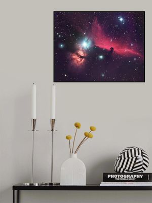 The horse in the sky