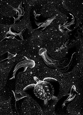 Cosmic Ocean  (Black Version)