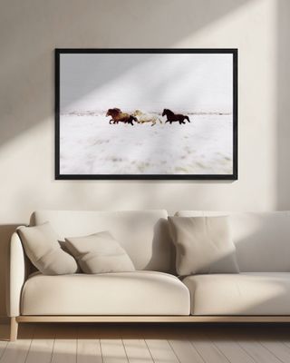 Wild Horses Iceland