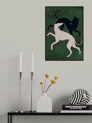 Elegant Greyhound Pair
