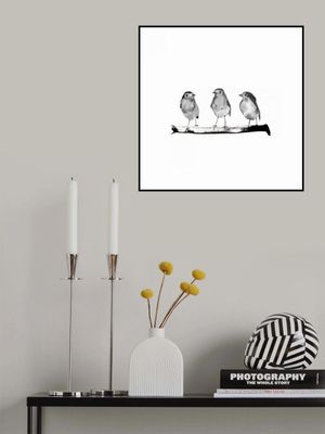 Robins   Three On a Branch 20x20 Bw