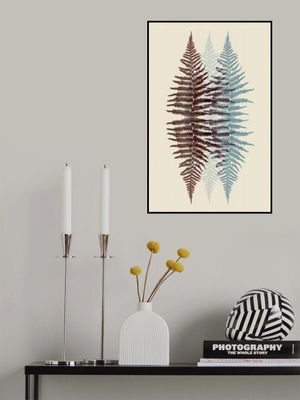 Chocolate and Teal Fern