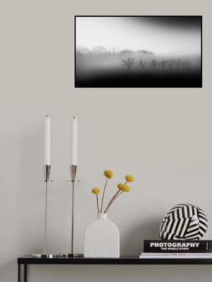 Eight trees in the mist