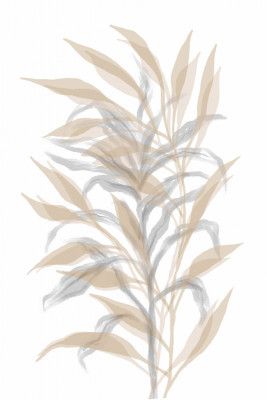 Delicate Bamboo Leaves