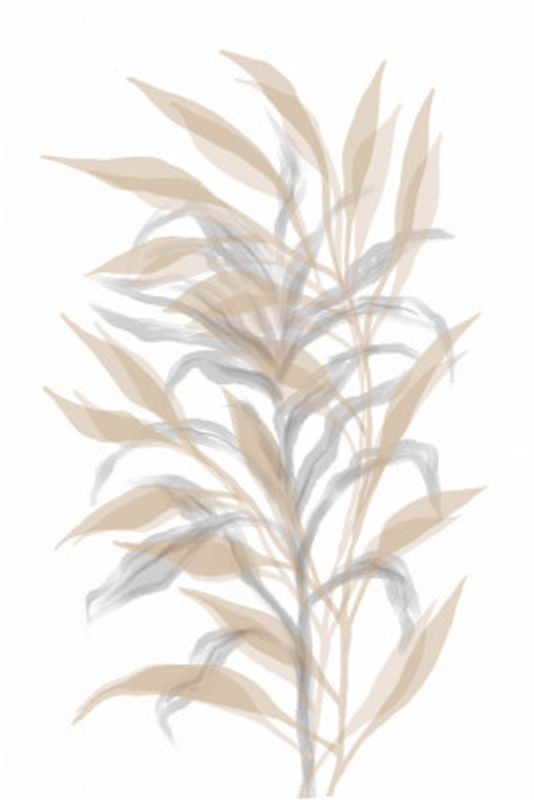 Delicate Bamboo Leaves