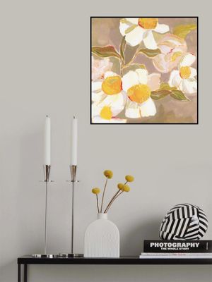 Lucreciacaporale Summermemories