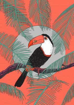 Toucan Jungle Scene