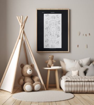 Solar Biology No. 6 Black (Creative ed)