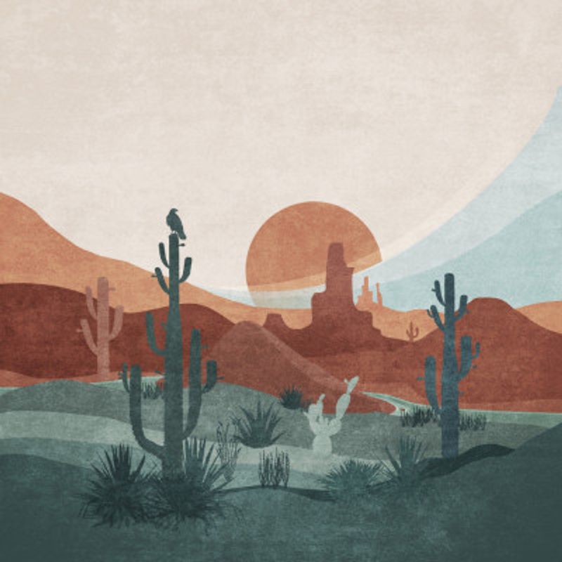 Desert Sundown Vista