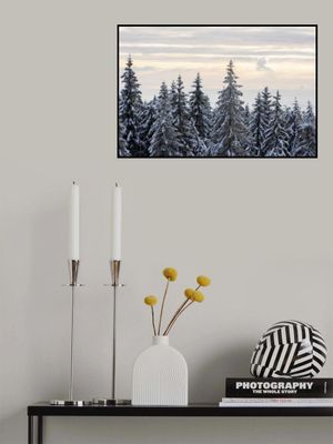 Snow Covered Trees 8