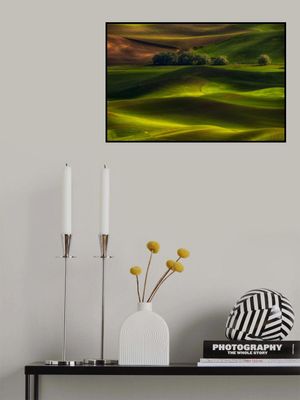 Spring in the Palouse