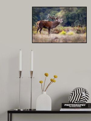 The scream of the deer