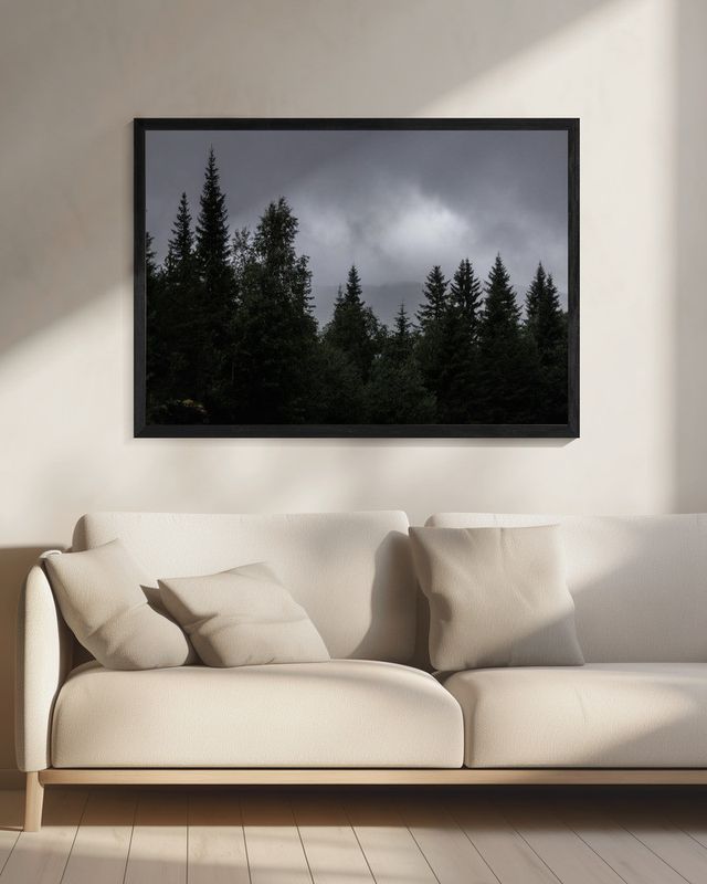 Mystical Forest Scene 2