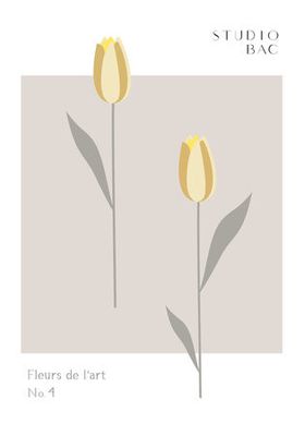 Tulips Studio Bac
