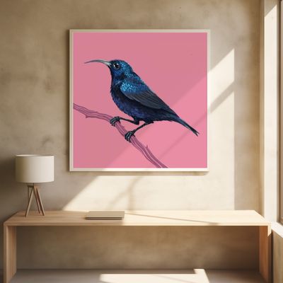 Bird Series   Sunbird