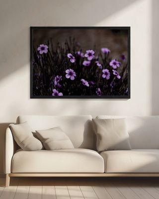 Midnight Purple Blooms