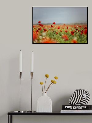 Red Flowers In Soft Focus