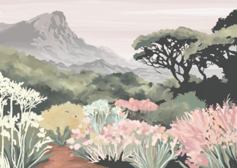 Kirstenbosch Dreaming, Kirstenbosch Gardens, Cape Town, South Africa