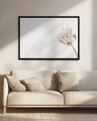 Protea on Light Background