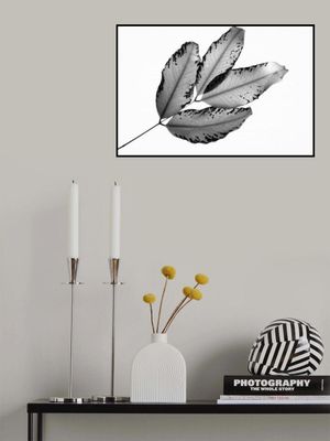 Branches and Leaves, 2016, 1